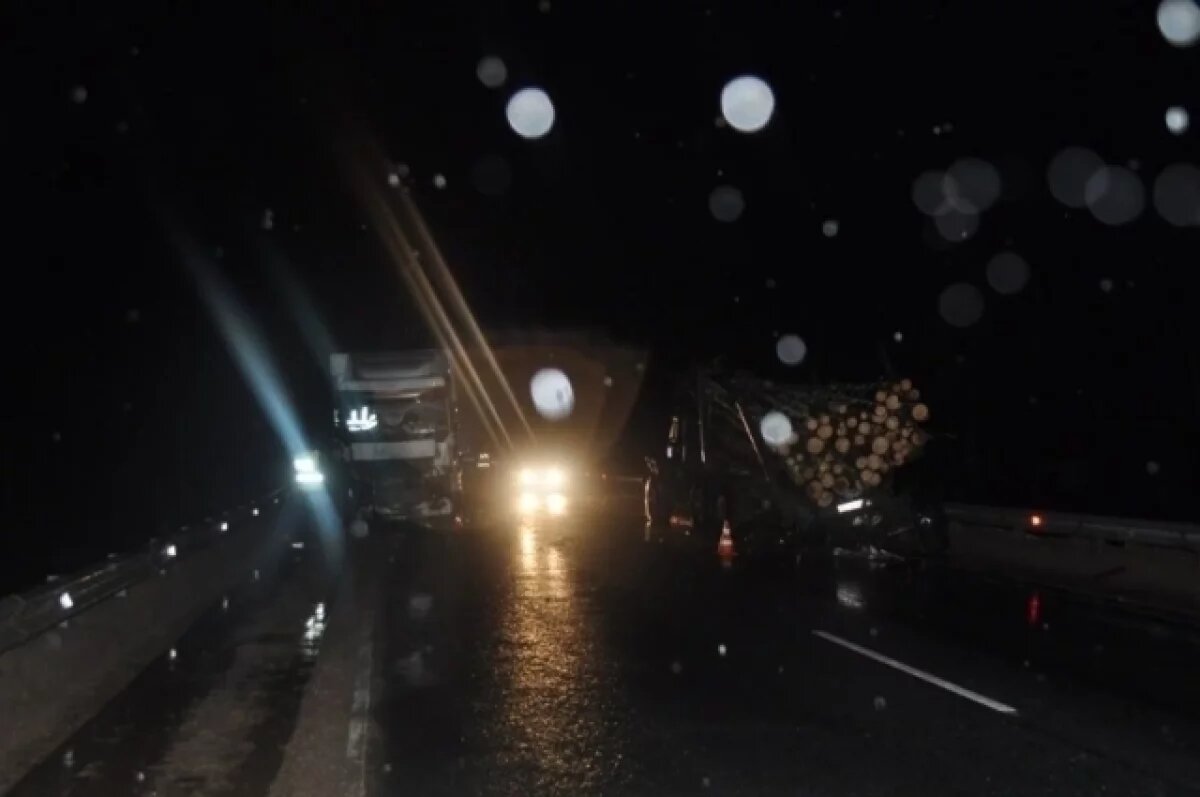    Виновника смертельного ДТП под Опочкой отправили в колонию на восемь лет