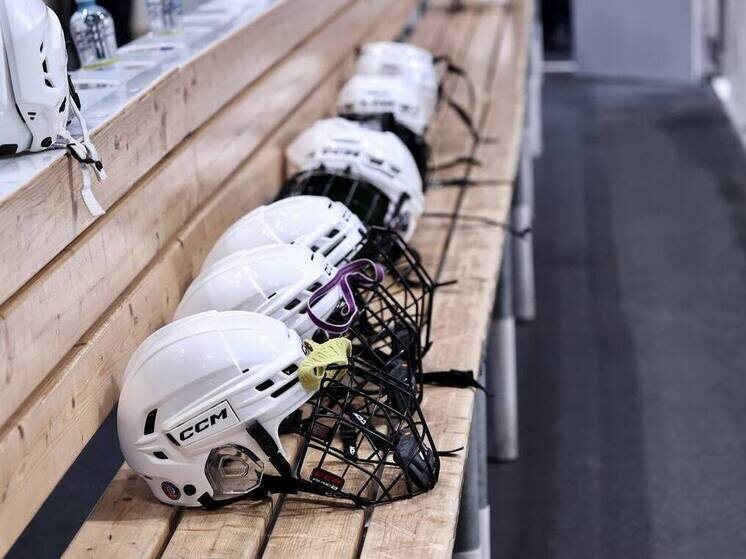     Фото: Юлия Боровикова («Вечерний Челябинск»)