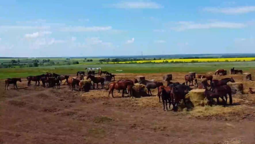    Фото: ХК "Чистополье"