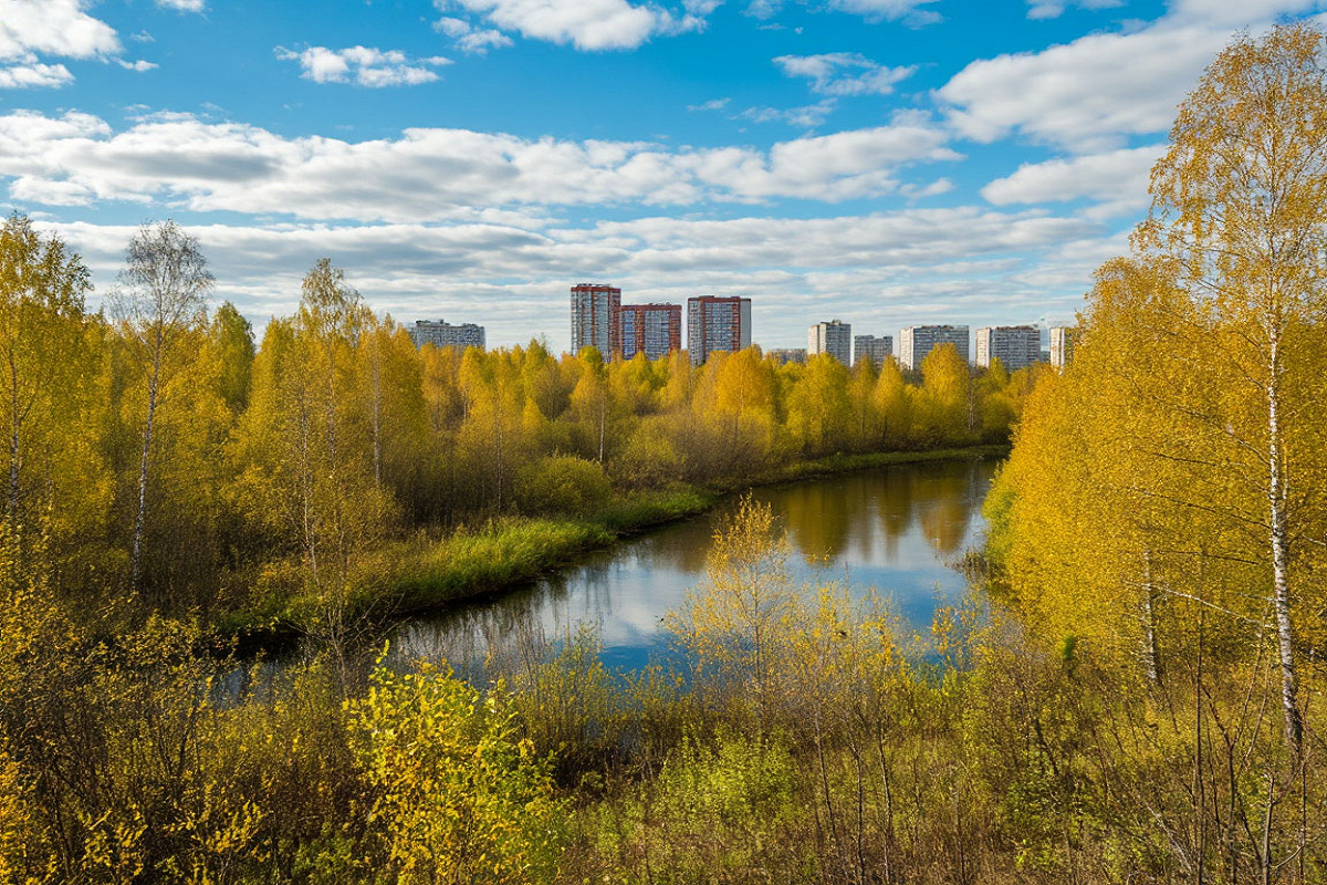    Фото: коллаж RuNews24.ru