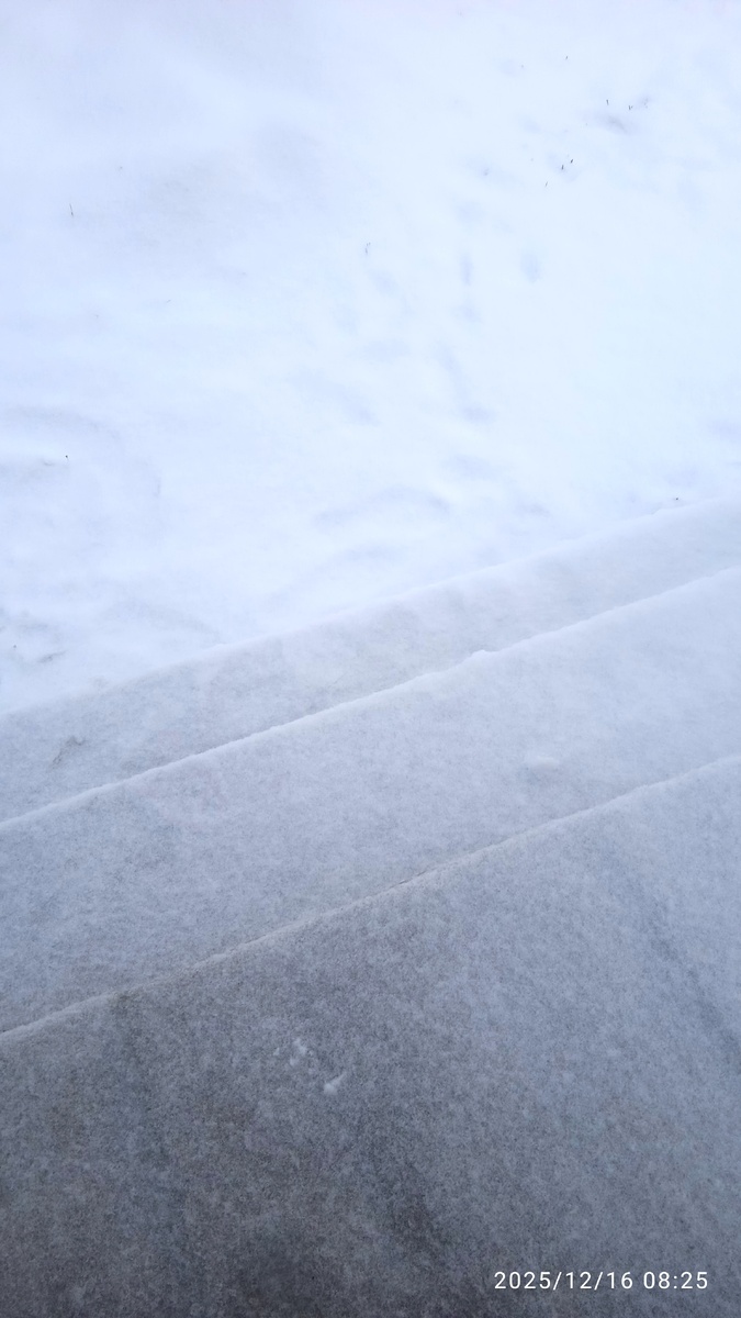 Крыльцо не замело. Ветра не было.