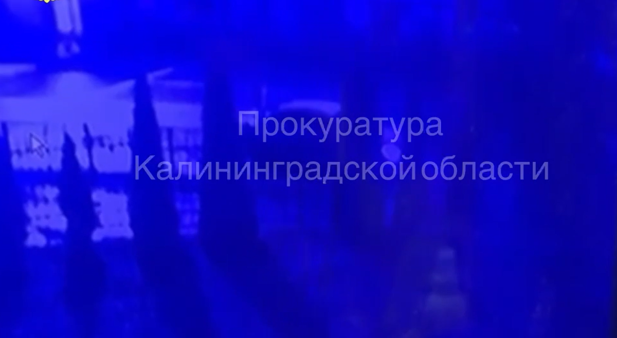 Фото: скрин видео тг-канал "Многонационал".