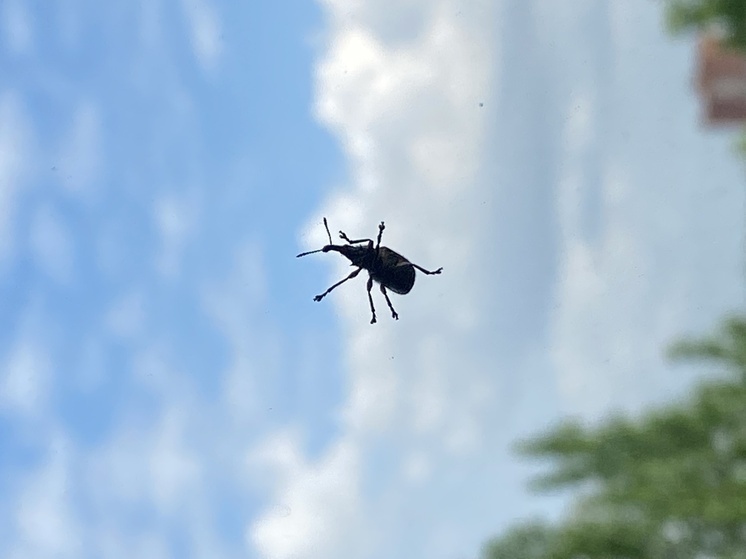     Фото: Alexander Legky/Global Look Press