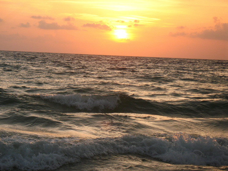   Лилия Шарловская