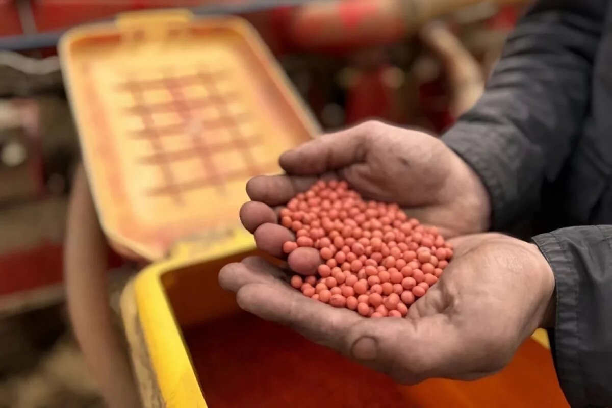    В Хабаровском крае аграрии получат 3,3 млн рублей на элитные семена сои