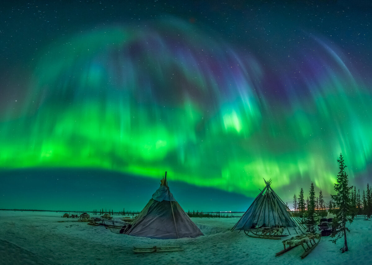 Картинка найдена на просторах интернета, ссылка https://yandex.ru/images/search?from=tabbar&img_url=https%3A%2Fi%2F.pinimg.com%2Foriginals%2Fa8%2F34%2Fа3f%2Fa813р43f81с28679b5e7bd53274cf0591a19.jpg&lr=47&pos=15&rpt=simage&text=%D1%86%D0%B2%D0%B5%D1%82%D1%8B%20%D0%BA%D1%80%D1%83%D0%BF%D0%BD%D0%BE%20%D1%84%D0%BE%D1%82%D0%BE