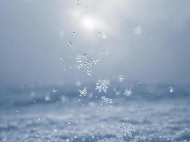     Фото: сгенерировано ИИ