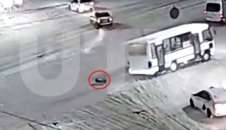    Скриншот видео