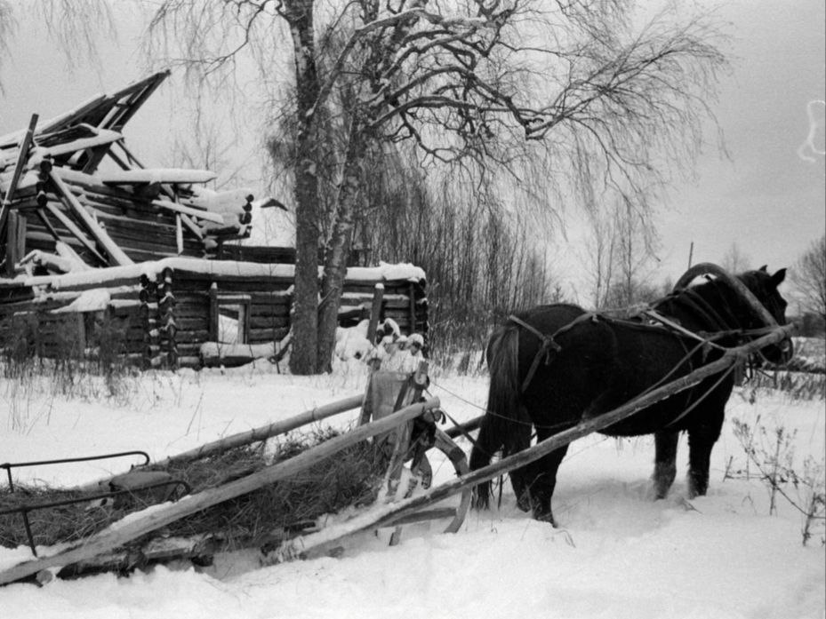    Фото: Милосердие.ru