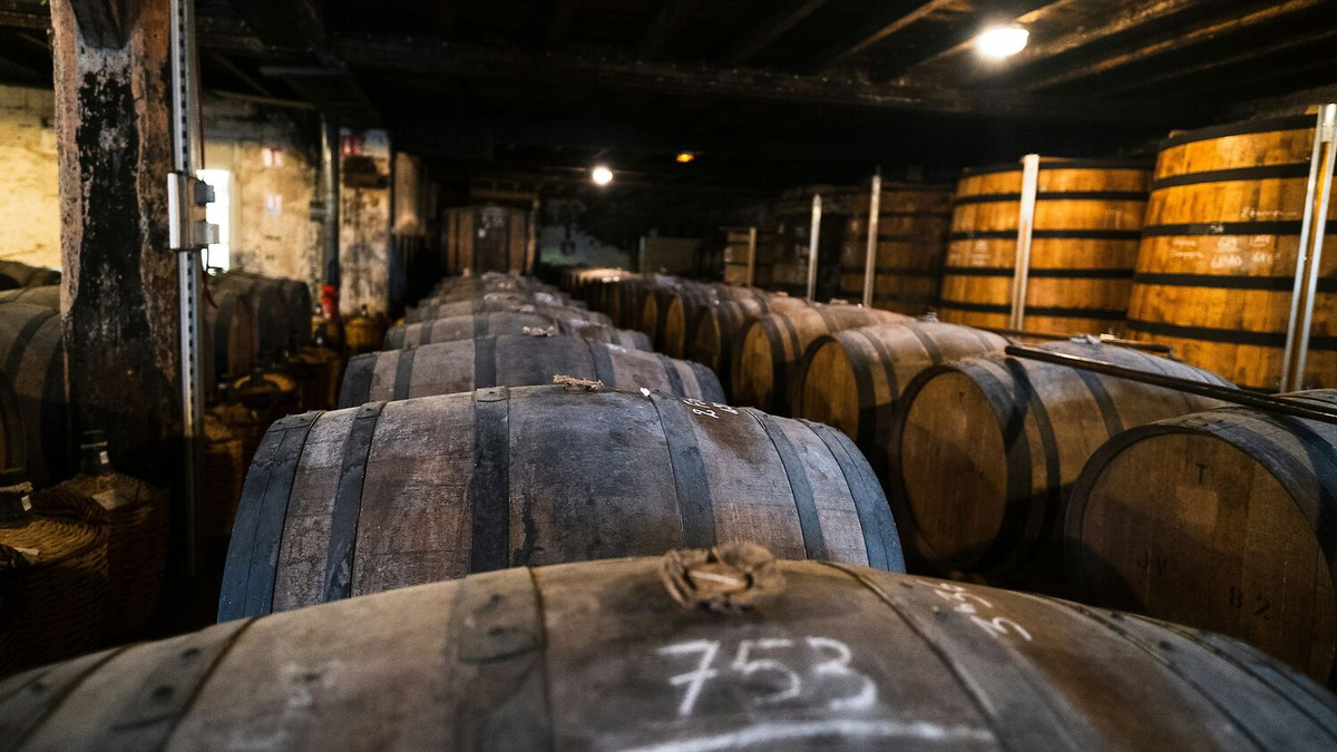     Timothé Durand/Unsplash