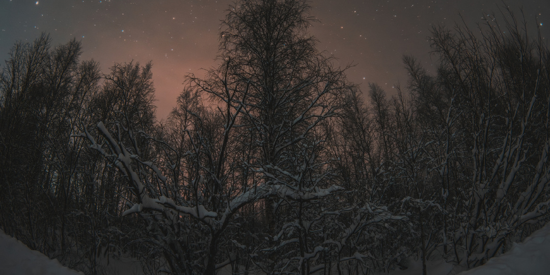 Космос по дороге в а телевышку. Микрорайон Южный