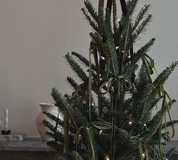 Живая елка как арт-объект: тренды новогоднего декора 2026 года