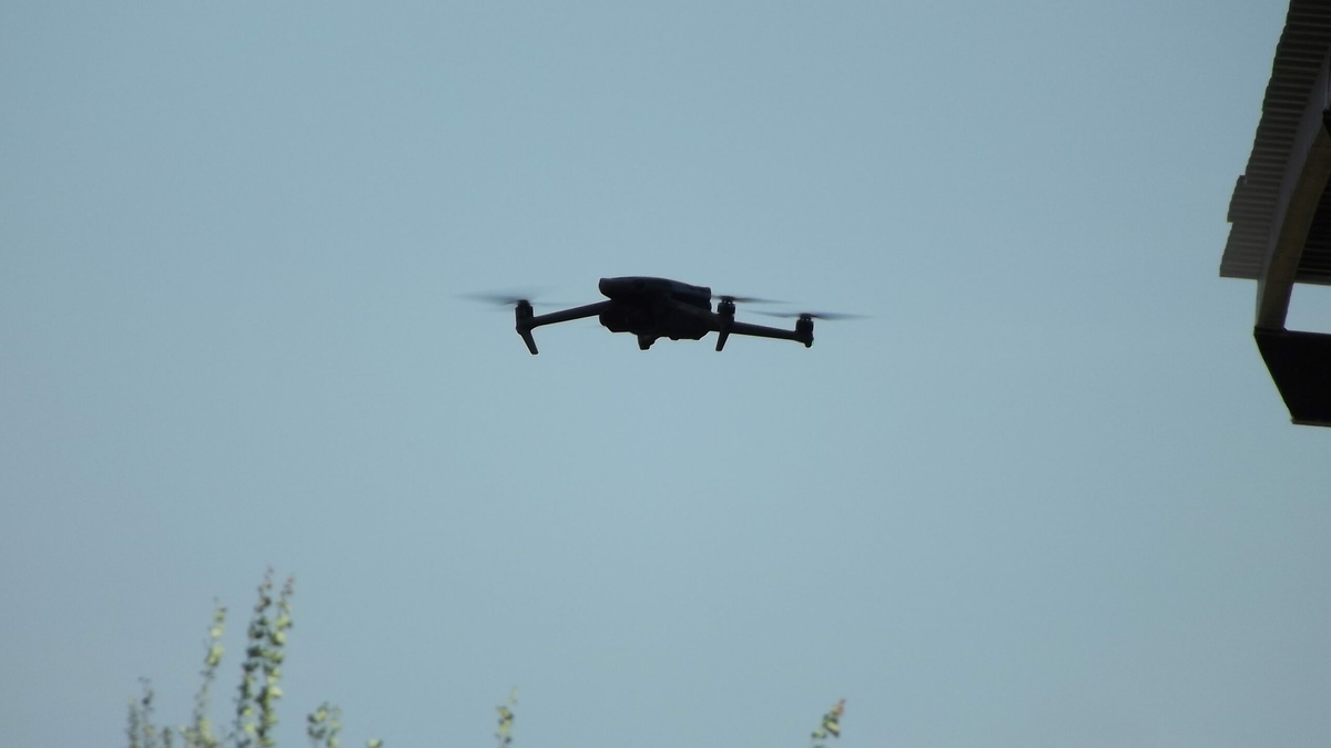 Фото: Neva.Today/Клава Назарова