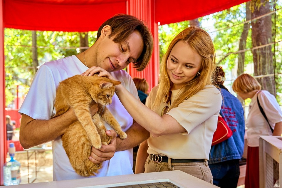    Фото из медиабанка «Мосфото»