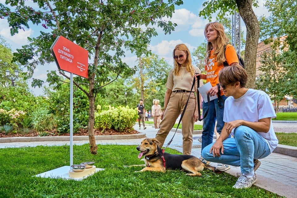    Фото из медиабанка «Мосфото»