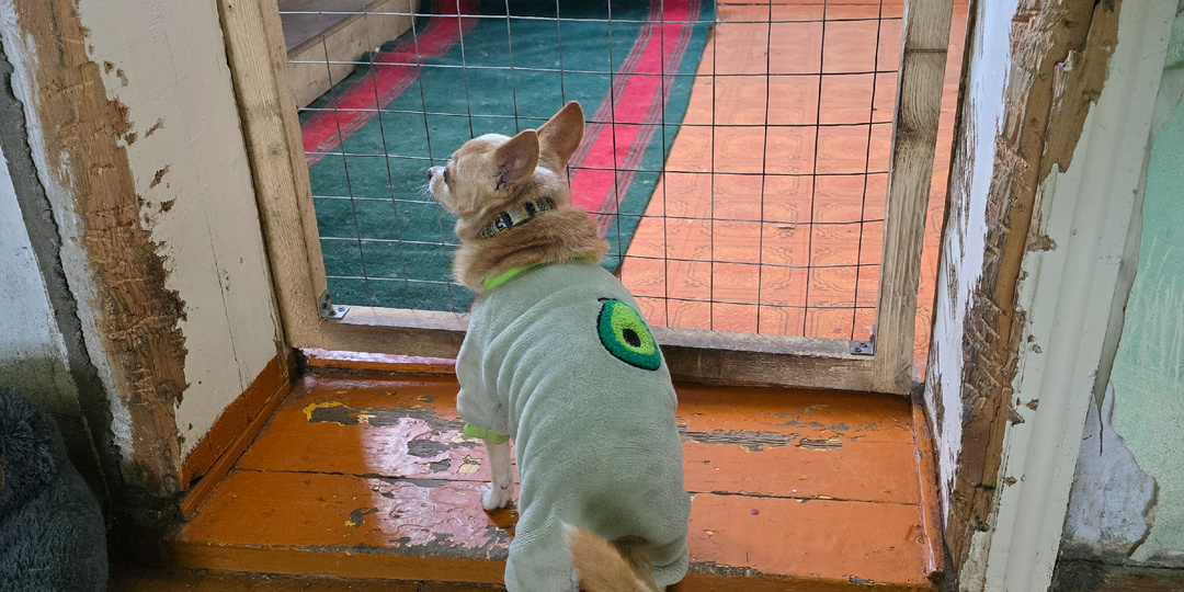 Его глаза не видят, но чувствуют тьму