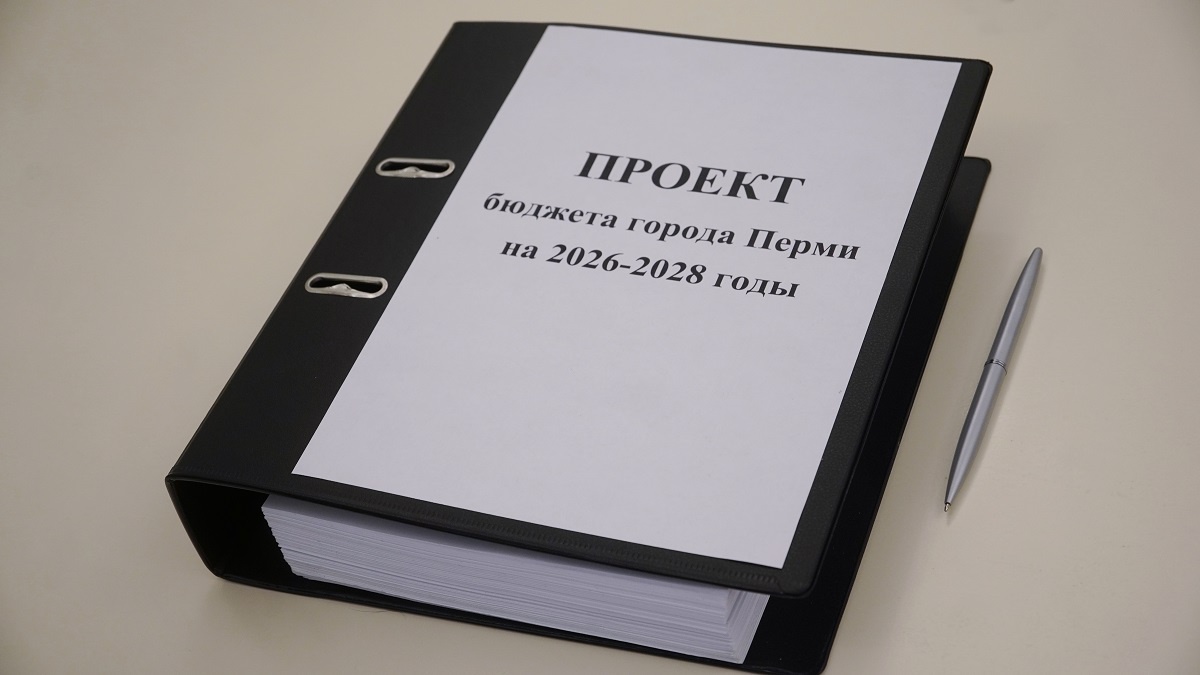    © Пресс-служба Пермской городской думы