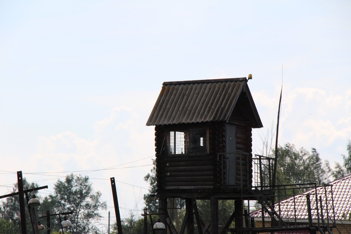    Фото: "Брянские новости"