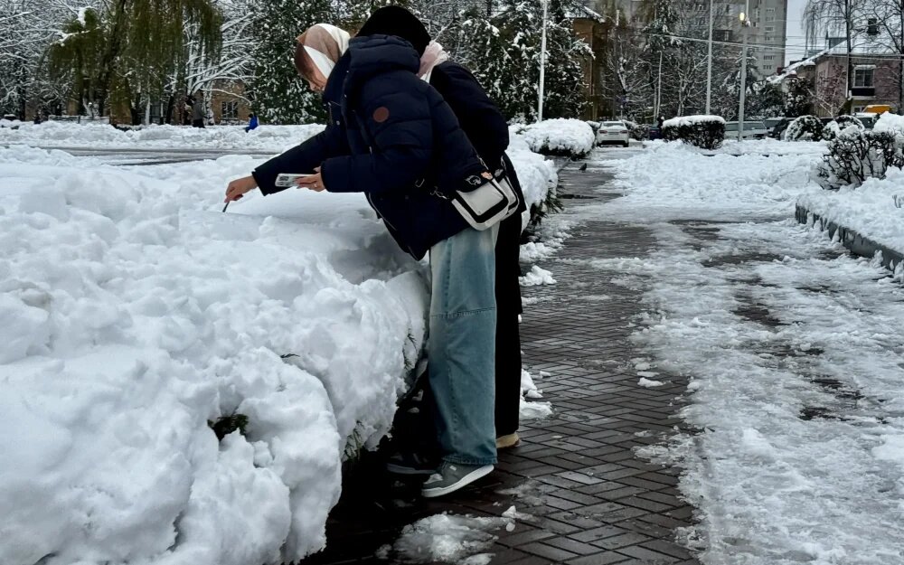    Фото: «Брянские новости»