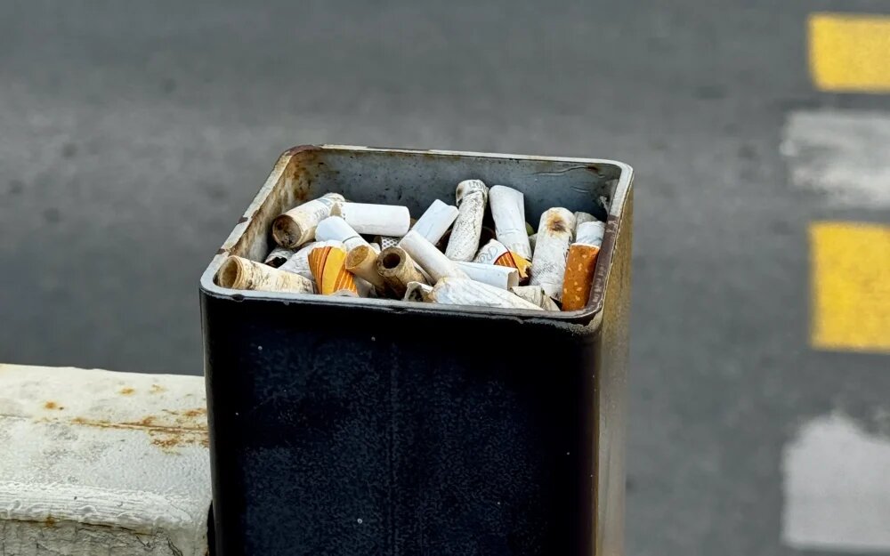    Фото: "Брянские новости"