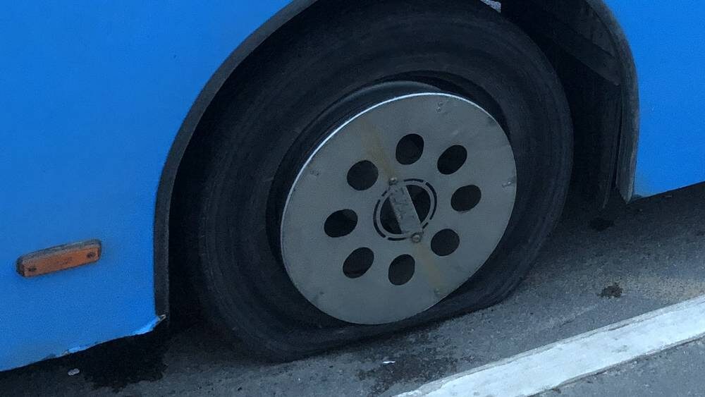    Фото: «Брянские новости»