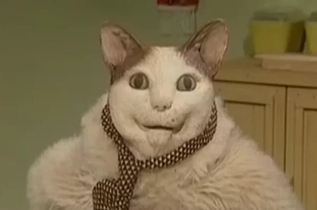    Как правильно «мем» или «мэм»?