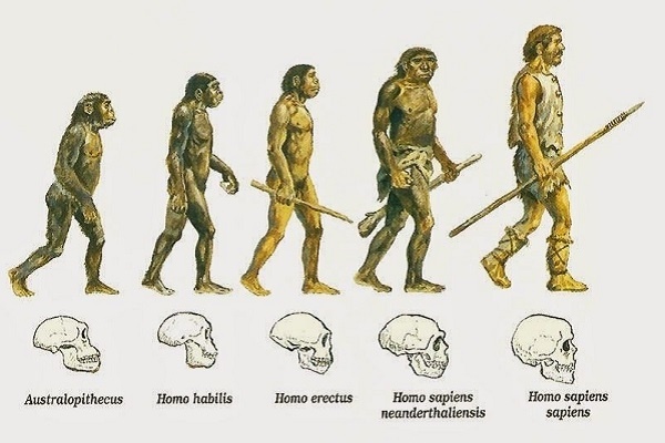 Неандертальцы отпадают из этого списка