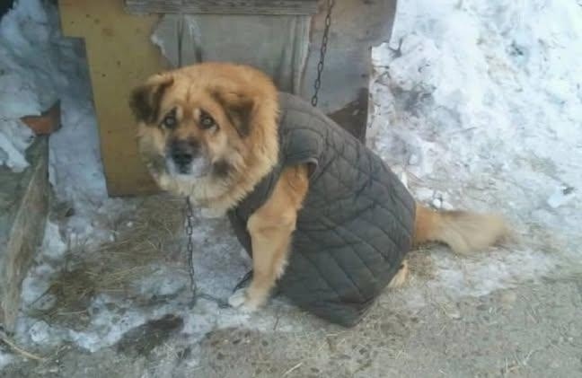 иллюстрация из яндекс картинки.