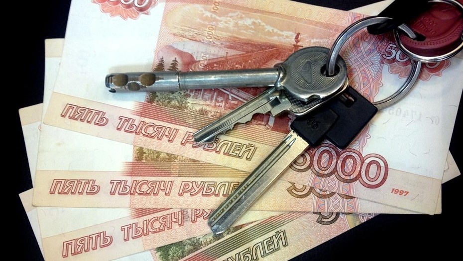 Автор фото:  Ксения Потеева / архив "ДП"