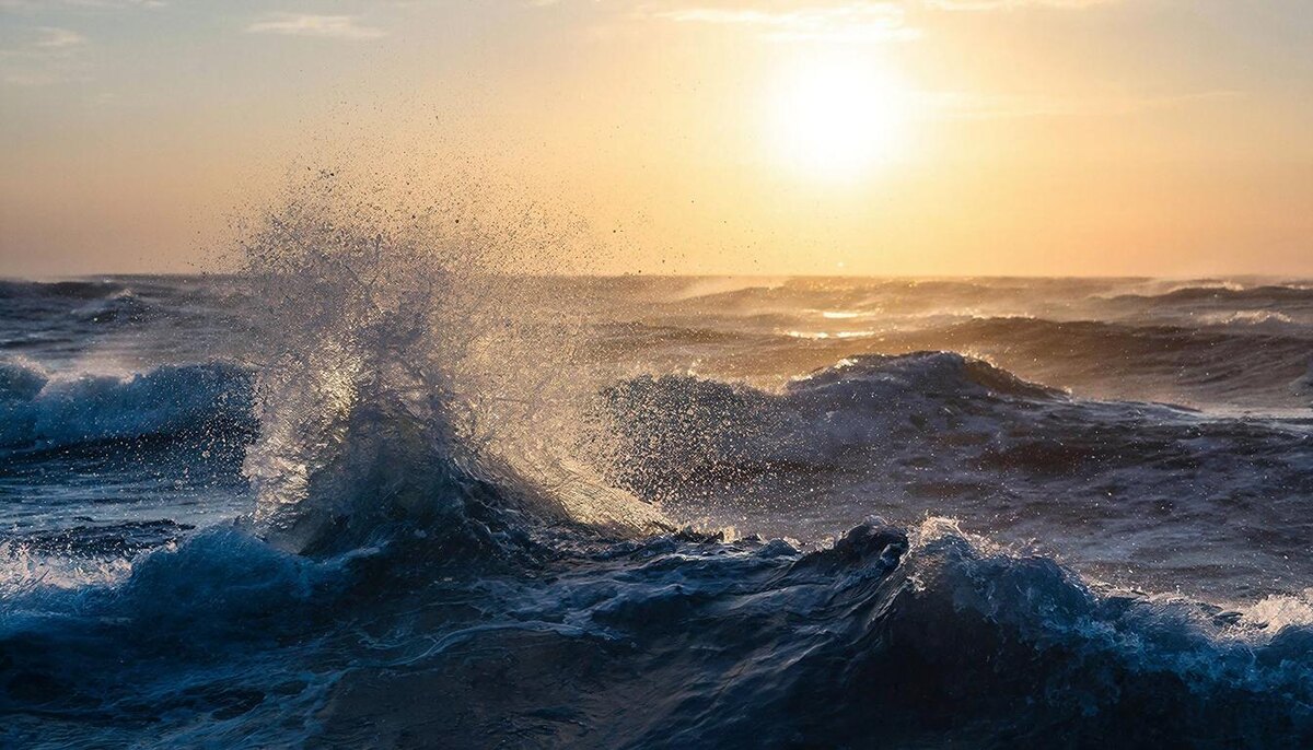 Время для того, чтобы ловить спокойствие и баланс в центре бури.