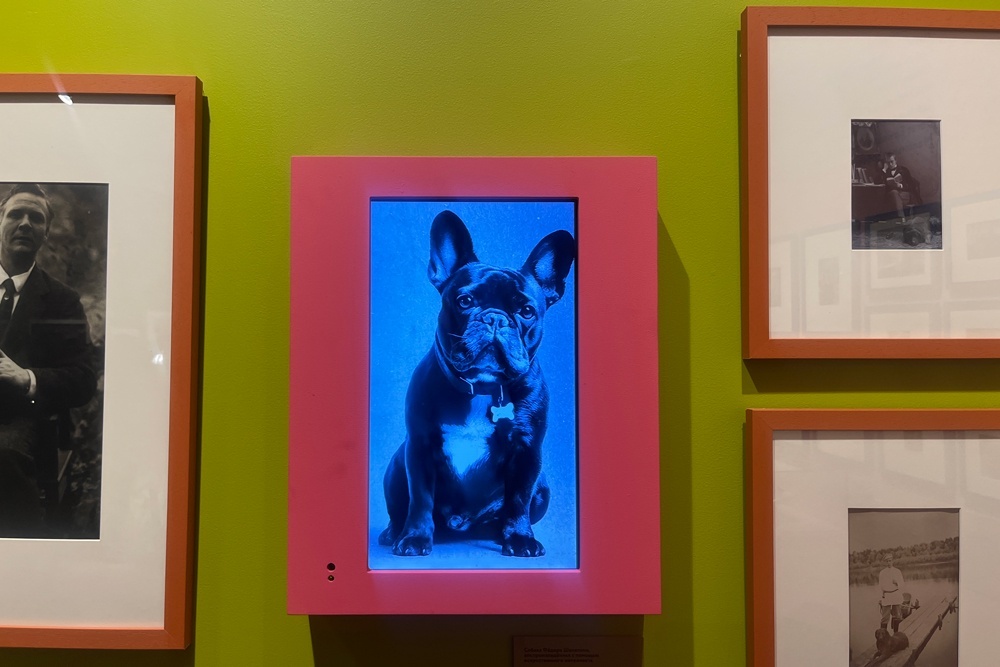    Фото: Дарья Валиахметова