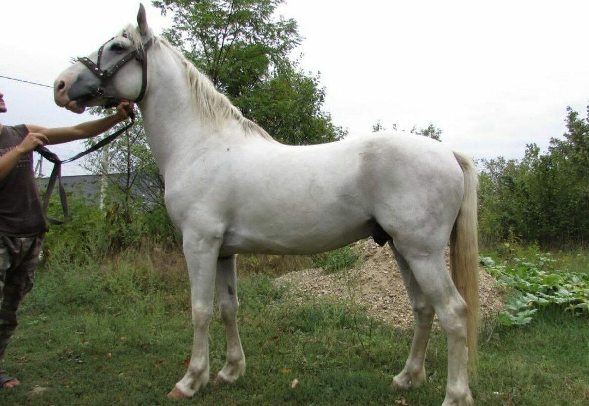    Фото t.me/mvd_23