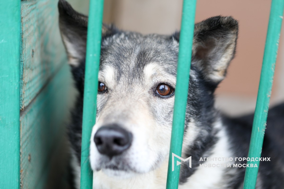 Фотограф: Андрей Никеричев
