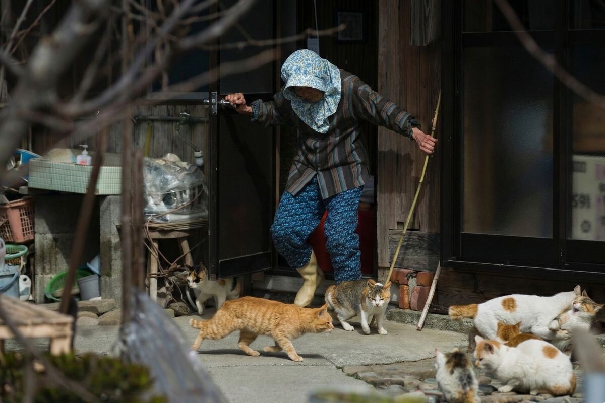 Остров Аосима