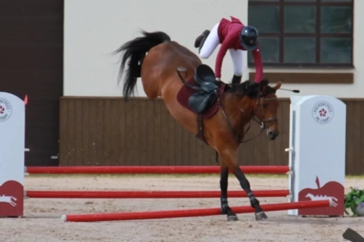    Лошадь норовиста и запросто может сбить седока