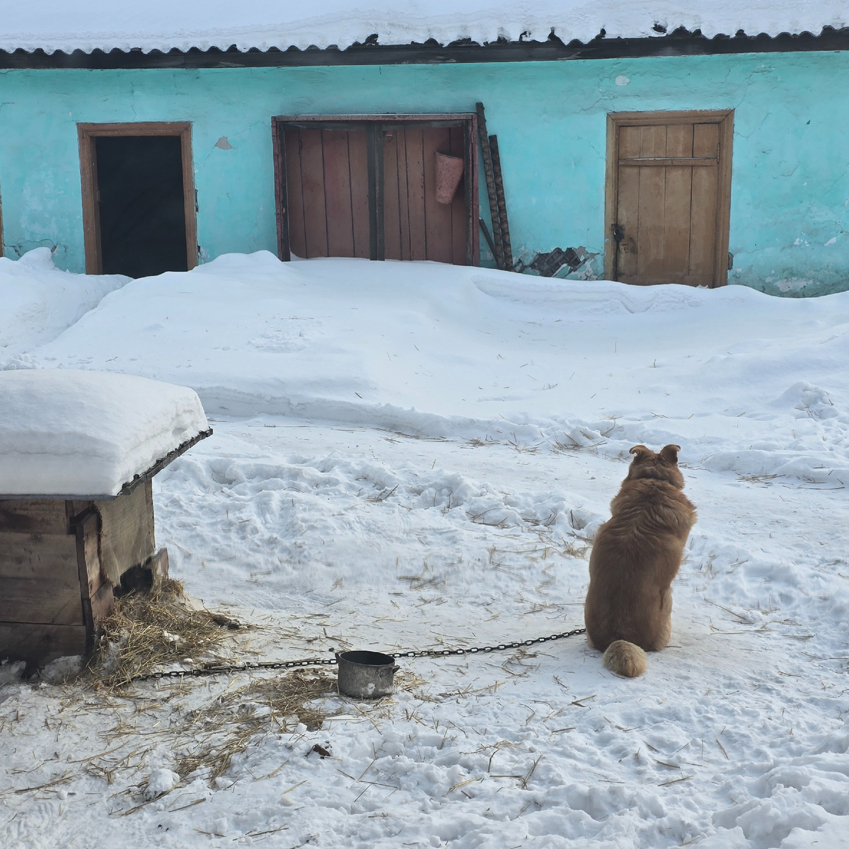 философ размышляет о высоком на снегу