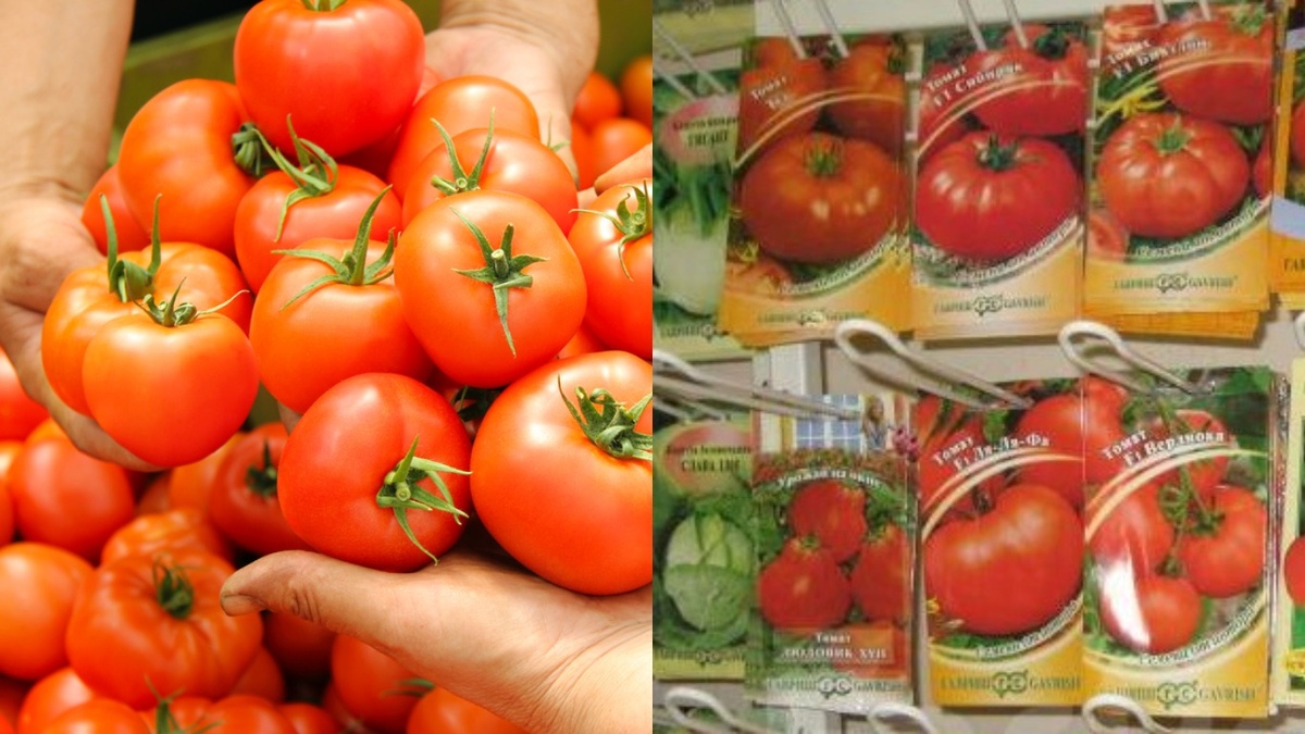 Вот так выглядит моя ежегодная закупка семян - каждый сорт записываю и проверяю