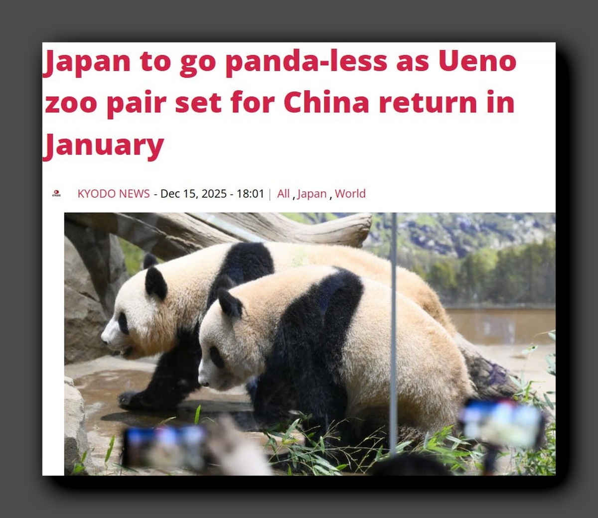 Скриншот https://www.kyodonews.jp