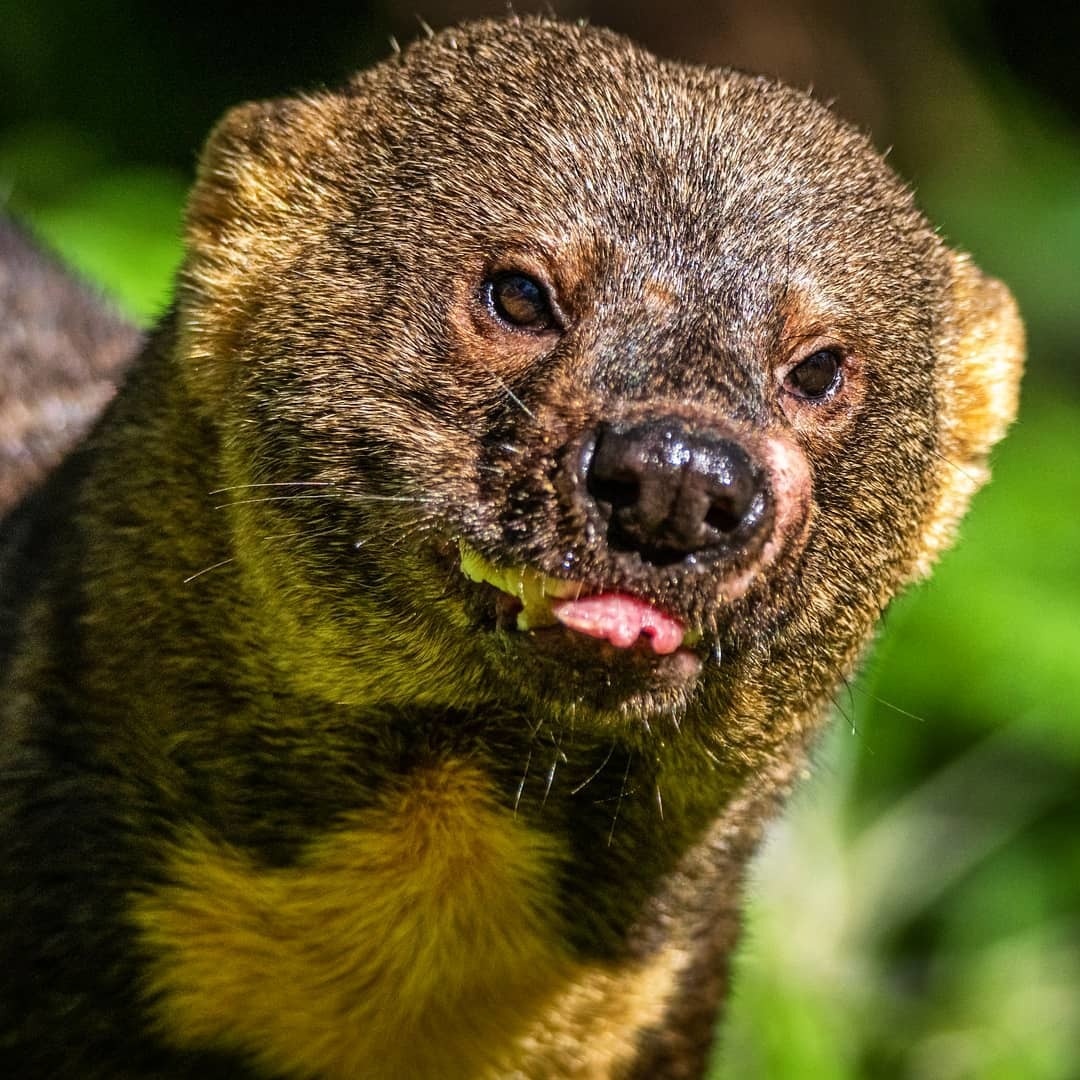 Тот самый взгляд, который говорит: «Я ничего не трогала, оно само упало!» 👀