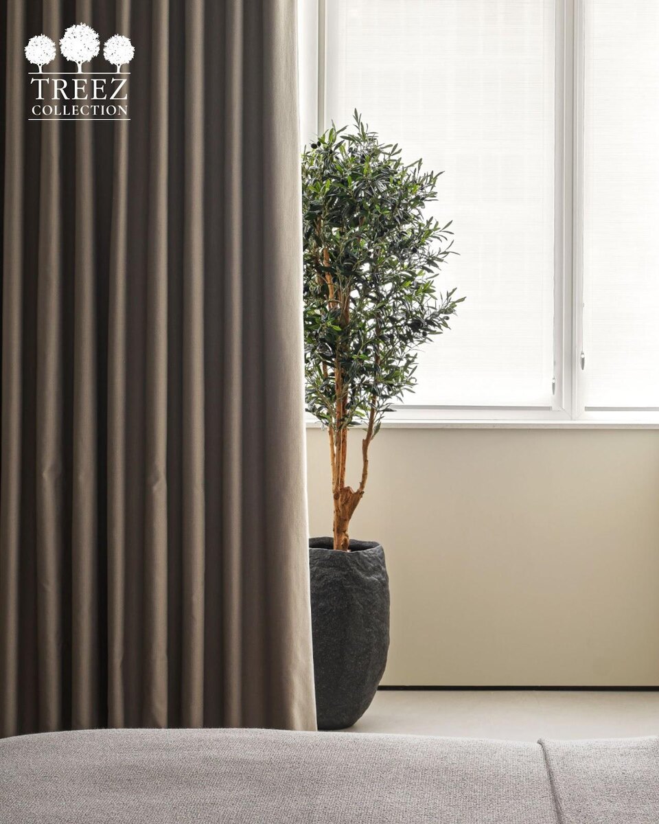 Кашпо и растения TREEZ Collection