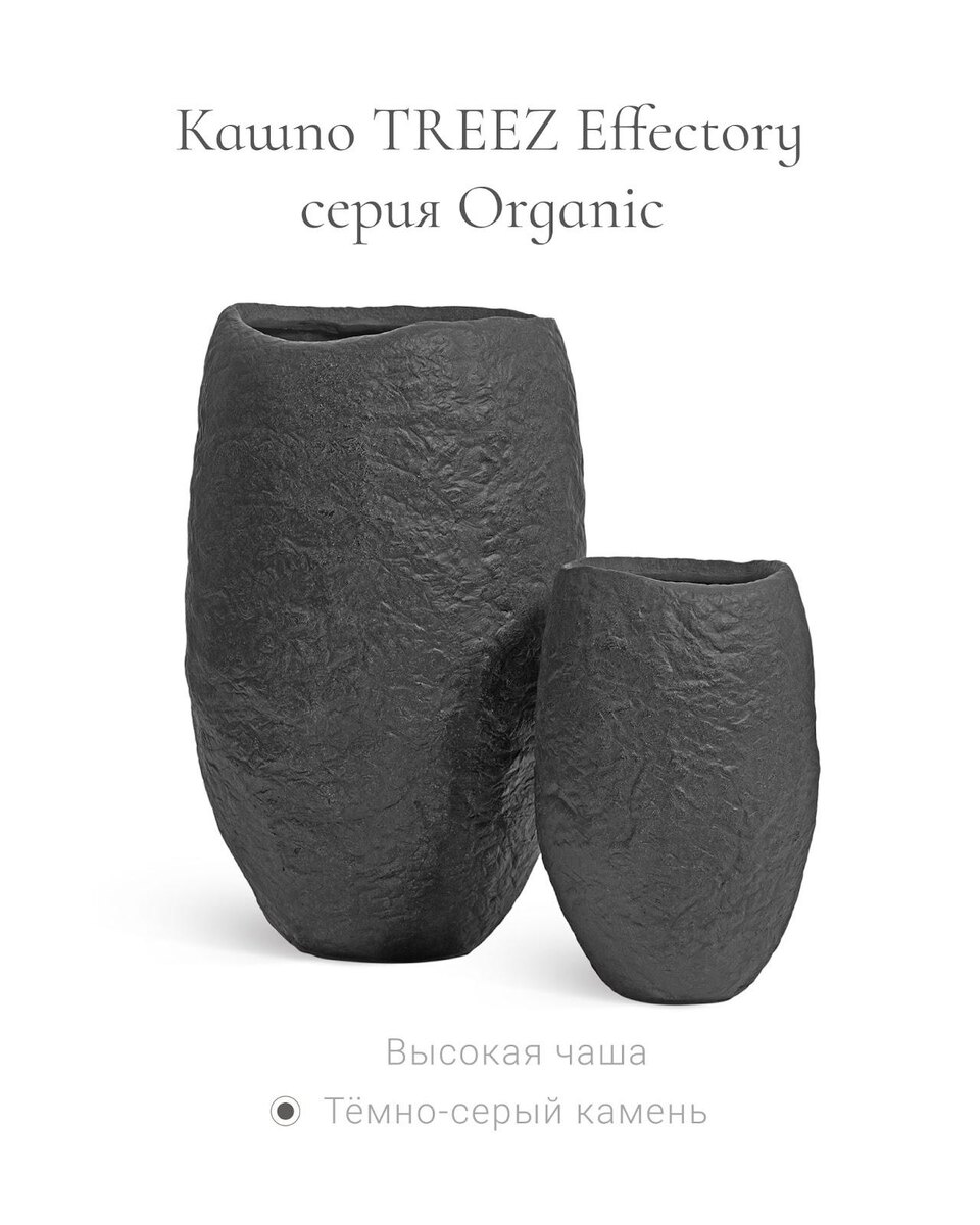 Кашпо и растения TREEZ Collection