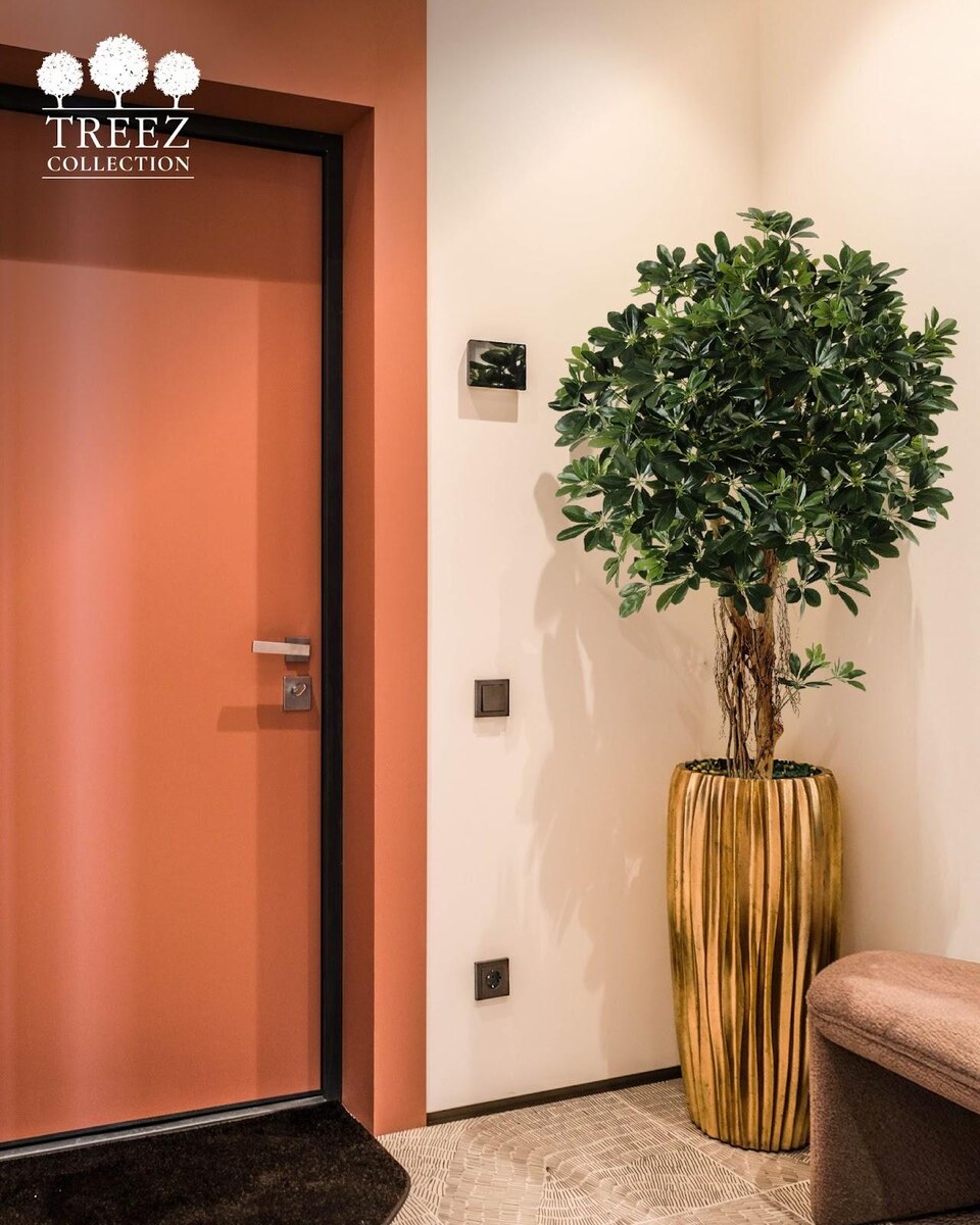 Кашпо и растения TREEZ Collection