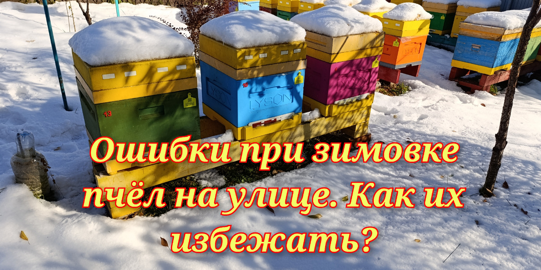 Ошибки при зимовке пчёл на улице.Как их избежать?