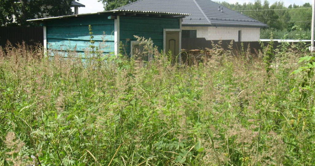 Суд признал незаконной приватизацию участка сыном депутата от «Единой России»