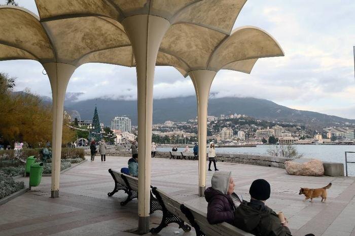 Обложка © ТАСС /Сергей Мальгавко