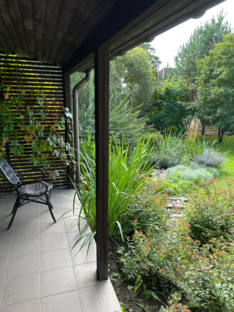 На этой фотографии спирея японская и фалярис из сада свекрови, ирис болотный, ясколка  войлочная, лилейник и девичий виноград из сада моих родителей, флокс шиловидный от подписчицы, хоста от коллеги