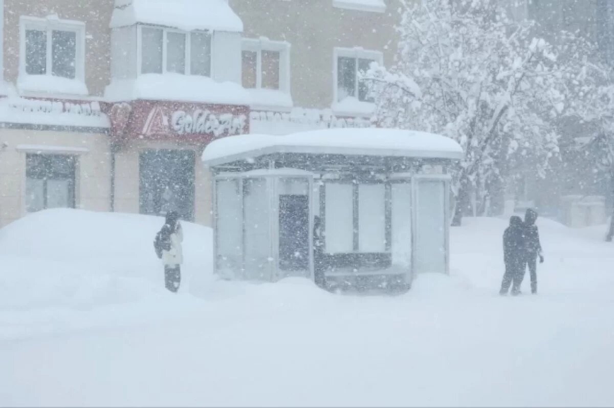    На Сахалине из-за метели ограничили движение на трассе и отменили автобусы