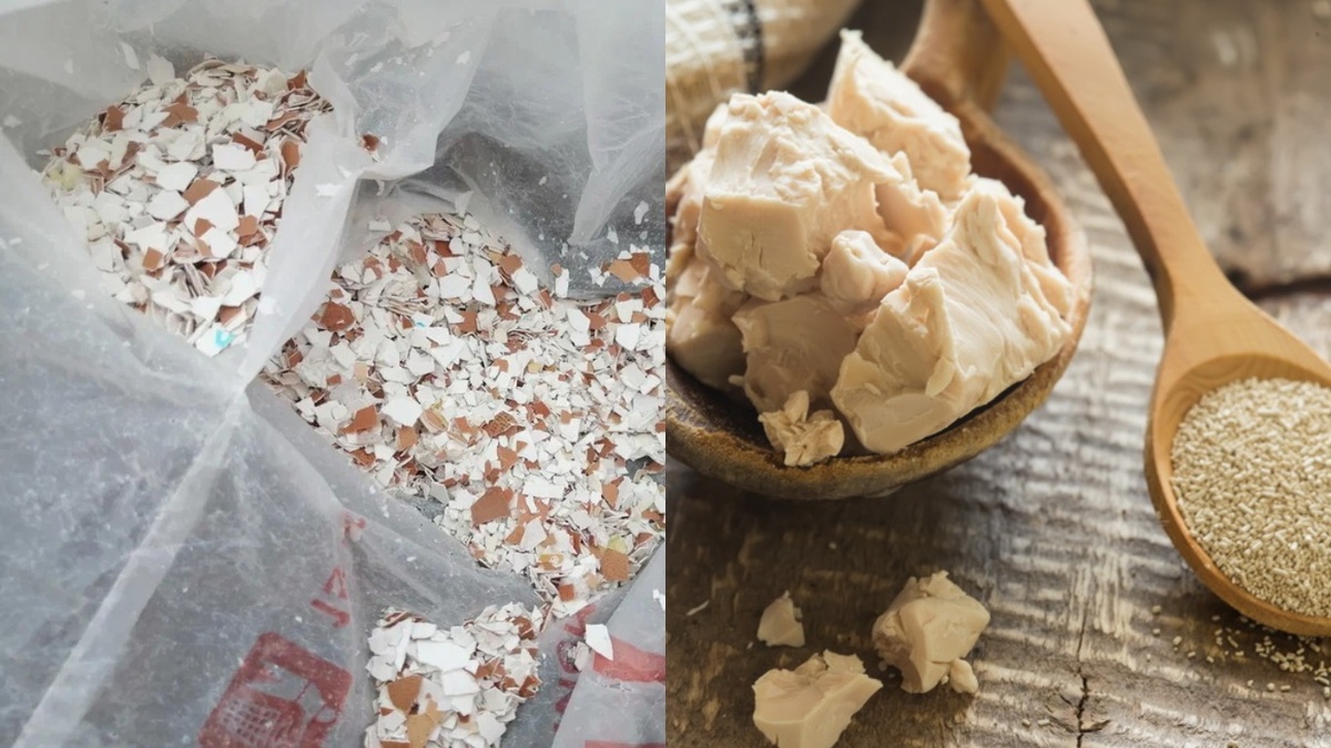 Различные домашние подкормки