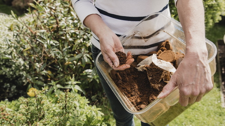 Незваные гости появились через неделю после удобрения