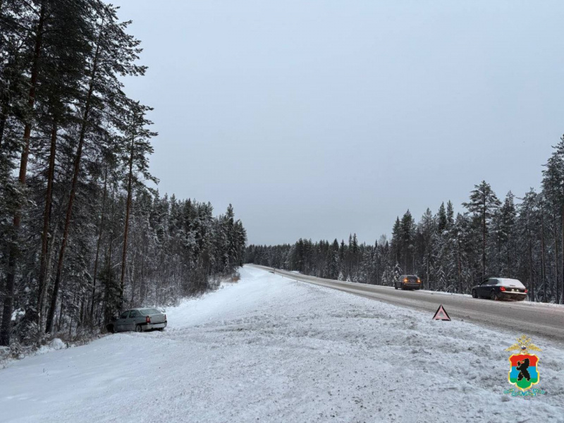    Пострадавшим в ДТП в Медвежьегорском районе оказался 28-летний местный жительМВД Карелии